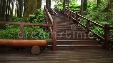 木制步行道穿过阿里山国家公园。 森林游客用楼梯良好的建设路径